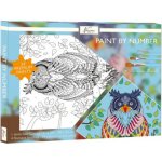 Grafix Malování podle čísel Sova – Zboží Dáma