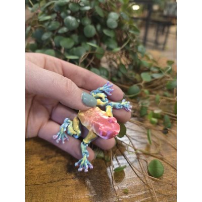 Žába magnetická 3D tisk vícebarevná mini – Hledejceny.cz