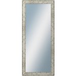 DANTIK TRITON 60 x 140 cm stříbrný 2950 – Hledejceny.cz