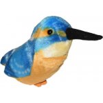 Hrající ptáčekLedňáček – Sleviste.cz