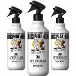 Immortal NYC Stay Blessed 06 Extrait de Cologne For Special Barbers kolínská ve spreji 500 ml – Hledejceny.cz