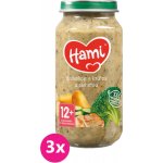 Hami Brokolice a krůtí prsa 3 x 250 g – Zboží Dáma