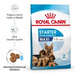 Royal Canin Starter Mother&Babydog Maxi 4 kg – Hledejceny.cz