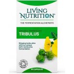 Living Nutrition Fermentovaný kotvičník zemní 60 kapslí – Hledejceny.cz