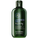 Paul Mitchell Tea Tree Lavender Mint Moisturizing Shampoo 300 ml – Zboží Dáma