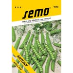 SEMO Hrách zahr. Antony raný velkozrnný bezlistý 50 g – Zboží Dáma