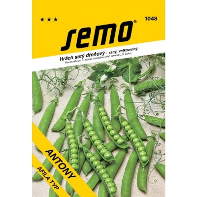 SEMO Hrách zahr. Antony raný velkozrnný bezlistý 50 g – Zboží Dáma