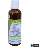 Naděje SV11 Smilax lékařský 50 ml – Hledejceny.cz