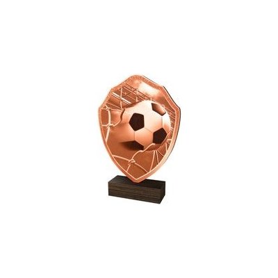Poháry Bauer Dřevěná plaketa TFRW311 Fotbal – Sleviste.cz