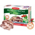 Terezia Company Hlíva ústřičná + laktobacily + vitamin C 60 kapslí – Hledejceny.cz