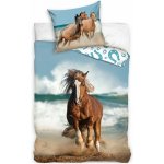 BedTex bavlna Kůň na pobřeží 100% bavlna Renforcé 70x90 140x200 – Hledejceny.cz