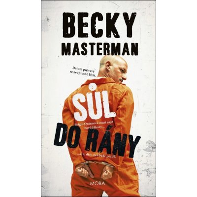 Sůl do rány - Becky Masterman