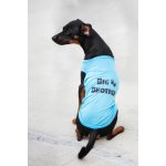 Vsepropejska Buda letní tričko pro psa – Hledejceny.cz