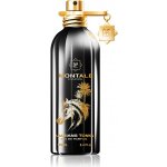 Montale Paris Arabians Tonka parfémovaná voda unisex 100 ml – Hledejceny.cz