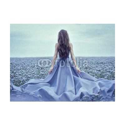 WEBLUX 70223866 Fototapeta vliesová Back view of standing young woman in blue dress Zadní pohled na stojící mladá žena v modrých šatech rozměry 270 x 200 cm – Sleviste.cz