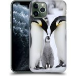 Pouzdro HEAD CASE Apple iPhone 11 Pro DIVOČINA – TUČŇÁCI – Zbozi.Blesk.cz