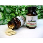 Organic India Šatavari 60 kapslí – Hledejceny.cz