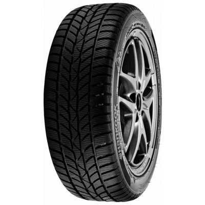 Hankook Winter i*cept RS W442 195/70 R15 97T – Hledejceny.cz