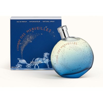 Hermès Eau des Merveilles Bleue parfémovaná voda dámská 100 ml – Hledejceny.cz