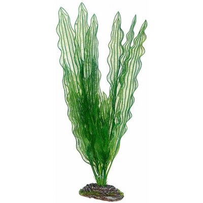 Hobby Aponogeton 39 cm umělá – Hledejceny.cz