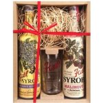 Kitl Syrob se sklenicí Bez a Malina 2 x 0,5 l – Zboží Mobilmania