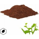 LifeChi Žumen čtyřhranný (Cissus quadrangularis) extrakt v prášku 25 g – Hledejceny.cz