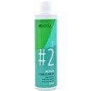 Indola Innova Repair Conditioner 300 ml