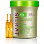 Bes Silkat S2 Seboequilibrante 12 x 10 ml – Hledejceny.cz