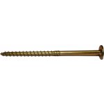 Vruty RAPI-TEC SK 8x160mm talířová hlava TX40 galvanický zinek – Hledejceny.cz