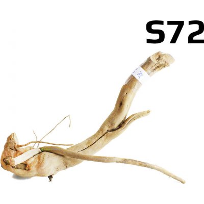 Surpanshop.cz kořen Finger Wood S72 31 cm – Sleviste.cz