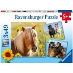 Ravensburger krásné koně 3 x 49 dílků – Hledejceny.cz