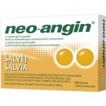 NEO-ANGIN ŠALVĚJ ORM 1,2MG/0,6MG/5,9MG PAS 24 – Hledejceny.cz