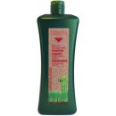 Šampon Salerm Biokera Shampoo proti padání vlasů 1000 ml