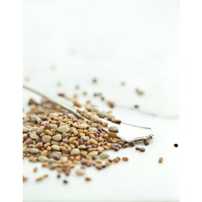 Směs semínek Bio Sonenntor 120g – Zboží Mobilmania