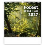 nástěnný Forest/Wald/Les 30cm x 30cm, N171-27 2027 – Zboží Dáma