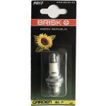 Zapalovací svíčka BRISK PR17 – Hledejceny.cz