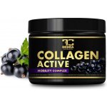 Collagen Active 200 g 30 dávek – Hledejceny.cz