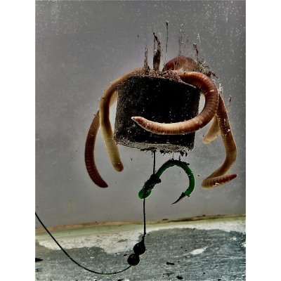 LK Baits Pelety Pop Up Sumec Special 200 g 38 mm – Hledejceny.cz