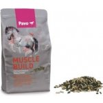 Pavo Muscle Build NEW 3 kg – Zboží Dáma