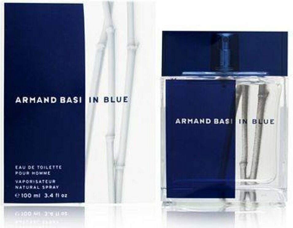 Armand Basi In Blue toaletní voda pánská 100 ml