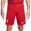 Nike LFC M NK DF STAD SHORT HM 2023/24