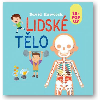 Lidské tělo 10 pop-up obrázků - Hawcock David – Hledejceny.cz