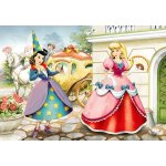 Castorland Popelka 60 dílků – Hledejceny.cz