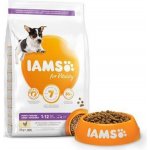 Iams Dog Puppy Small & Medium s kuřecím masem 12 kg – Hledejceny.cz