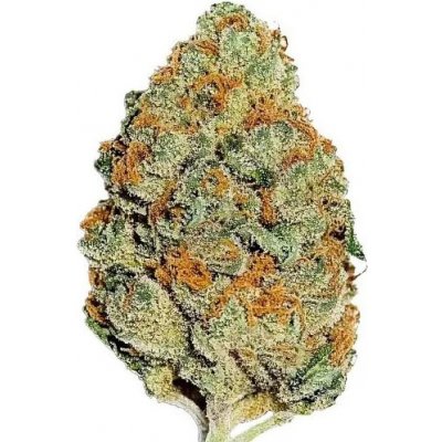 Fast BudsLemon Mandarin semena neobsahují THC 10 ks – Zboží Mobilmania