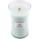WoodWick Magnolia Birch 609,5 g – Zboží Dáma