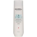 Goldwell Dualsenses Deep Cleansing Shampoo 250 ml – Hledejceny.cz