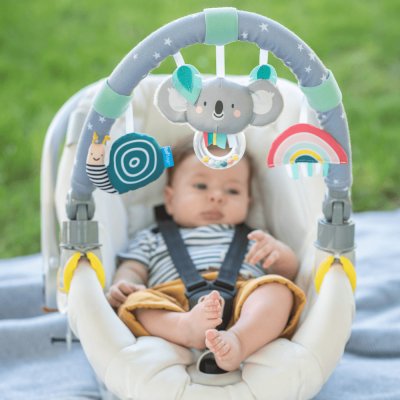 Taf Toys hrazdička Koala – Zbozi.Blesk.cz