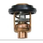 Yamaha - Termostat pro 9.9D15D/20C... 6F5-12411-03-00