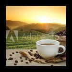 Skleněný obraz 1D - 50 x 50 cm - Hot Coffee cup with Coffee beans on the wooden table and the pla Horký šálek kávy s kávová zrna na dřevěný stůl a pla – Hledejceny.cz
